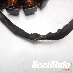 Stator d'alternateur HARLEY DAVIDSON SPORTSTER XL883N IRON