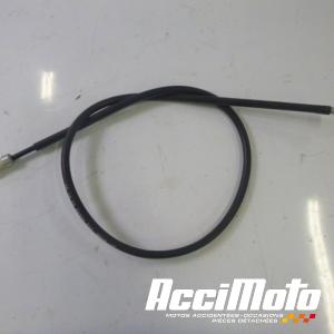 Cable de compteur  YAMAHA MAJESTY YP125