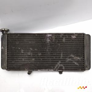 Radiateur de refroidissement APRILIA CAPONORD ETV1000