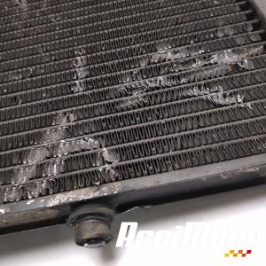 Radiateur de refroidissement APRILIA CAPONORD ETV1000