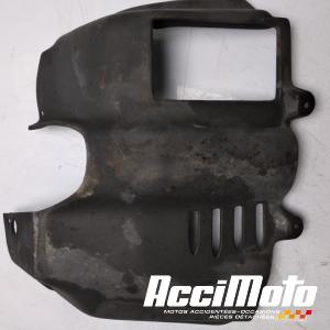 Cache moteur APRILIA CAPONORD ETV1000