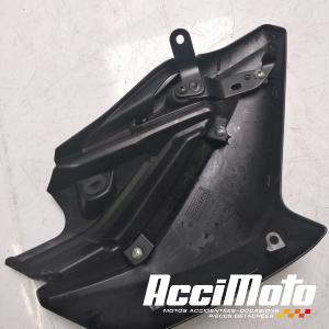 Flanc  de carénage avant (droit) KAWASAKI Z 900