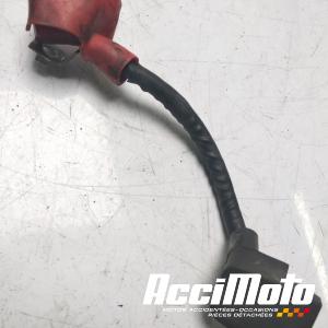 Cable de batterie positif (+) HONDA CBR900 