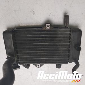 Radiateur de refroidissement YAMAHA MT 125