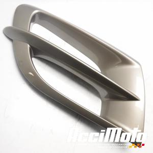 Grille de flanc HONDA GL1800 GOLDWING