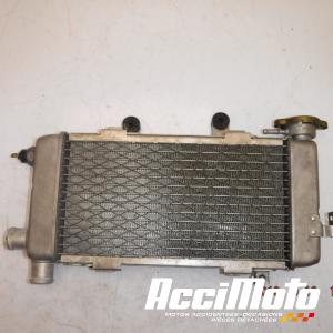 Radiateur de refroidissement HONDA VTR1000