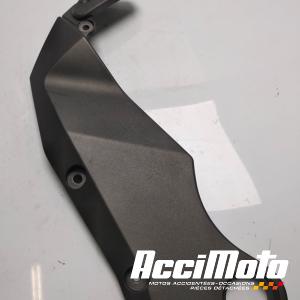 Cache cadre (droit) KAWASAKI Z 750
