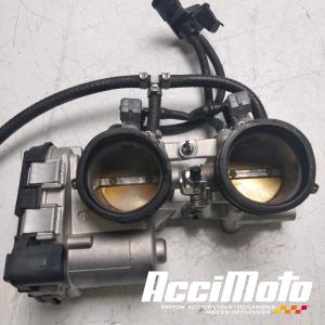 Rampe d'injection (moteur) APRILIA TUONO 1100