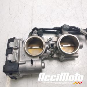 Rampe d'injection (moteur) APRILIA TUONO 1100