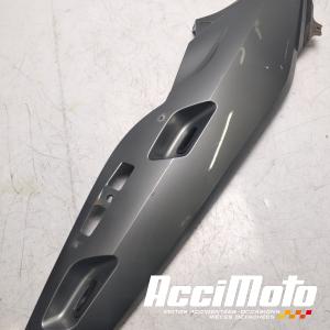 Coque arrière (droite) BMW R1200 RT