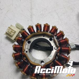 Stator d'alternateur YAMAHA TMAX XP530 DX