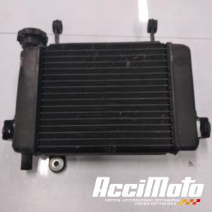 Radiateur de refroidissement HONDA CBR125