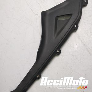 Intérieur de flanc de carénage (droit) APRILIA RS 125