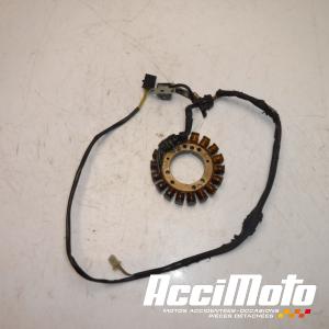 Stator d'alternateur SUZUKI SAVAGE LS650