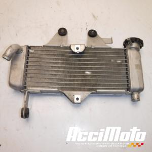 Radiateur de refroidissement HONDA VARADERO XL125V