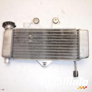 Radiateur de refroidissement HONDA VARADERO XL125V