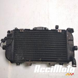 Radiateur de refroidissement YAMAHA TRX 850