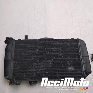 Radiateur de refroidissement YAMAHA TRX 850