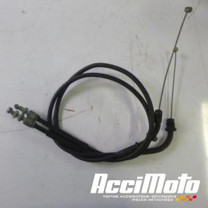 Cable d'accélérateur HONDA CBR1100XX