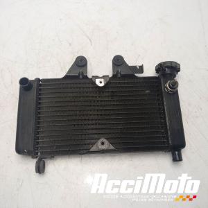 Radiateur de refroidissement HONDA SHADOW VT125C