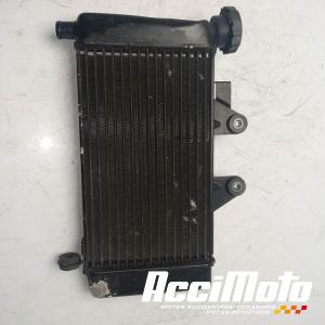 Radiateur de refroidissement HONDA SHADOW VT125C
