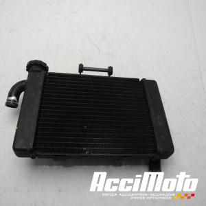 Radiateur de refroidissement BENELLI BN 302