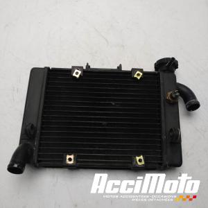 Radiateur de refroidissement BENELLI BN 302