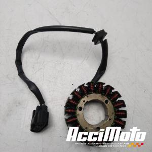 Stator d'alternateur BENELLI BN 302