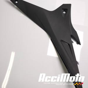 Cache sous selle (droit) APRILIA TUONO 1100RR