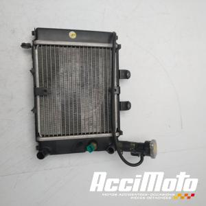 Radiateur de refroidissement DAELIM ROADSPORT 125