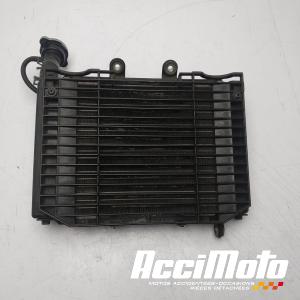 Radiateur de refroidissement DAELIM ROADSPORT 125