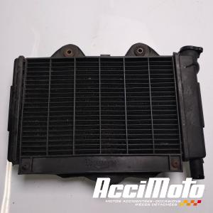 Radiateur de refroidissement TRIUMPH TROPHY 900