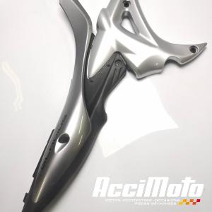 Cache cadre (droit) SUZUKI GLADIUS SFV650