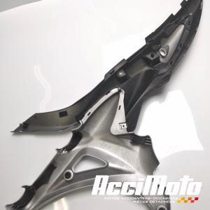 Cache cadre (droit) SUZUKI GLADIUS SFV650