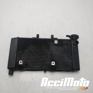 Radiateur de refroidissement HONDA CTX700