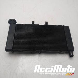 Radiateur de refroidissement HONDA CTX700