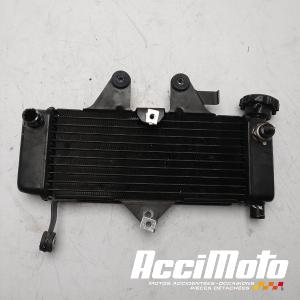 Radiateur de refroidissement HONDA SHADOW VT125C