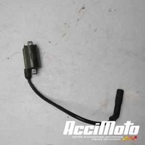 Bobine d'allumage cylindre arrière HONDA SHADOW VT125C