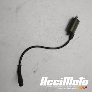 Bobine d'allumage cylindre arrière HONDA SHADOW VT125C