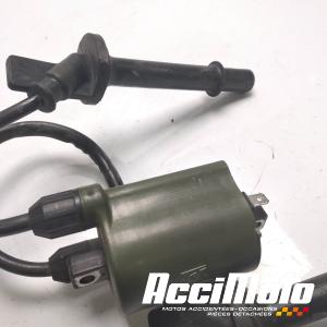 Bobine d'allumage (1/4) HONDA CBF600S