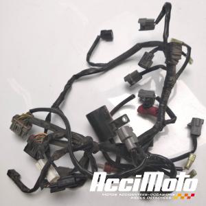 Faisceau de rampe d'injection HONDA CBF600S