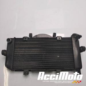 Radiateur de refroidissement YAMAHA TDM 900