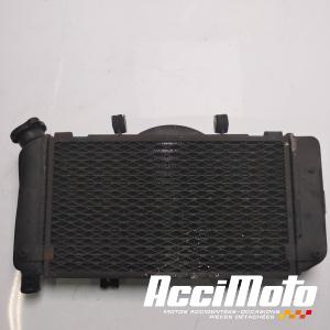 Radiateur de refroidissement YAMAHA TDM 900