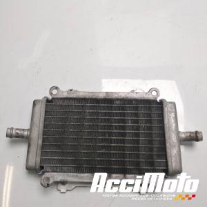 Radiateur de refroidissement VESPA GTS 125