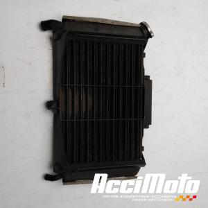 Radiateur de refroidissement YAMAHA FZ6 S FAZER