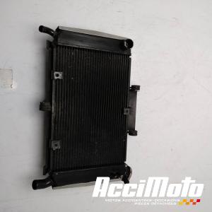 Radiateur de refroidissement YAMAHA FZ6 S FAZER