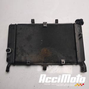 Radiateur de refroidissement YAMAHA XJ6F DIVERSION