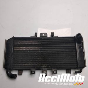 Radiateur de refroidissement YAMAHA FAZER FZS600