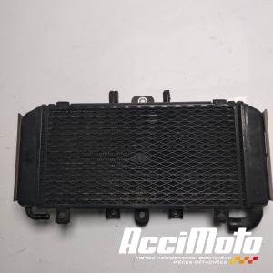 Radiateur de refroidissement YAMAHA FAZER FZS600