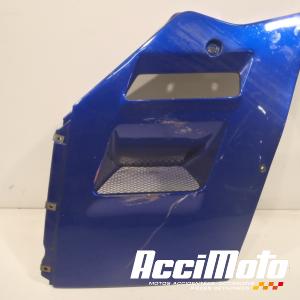 Flanc  de carénage avant (droit) SUZUKI GSXR 1100